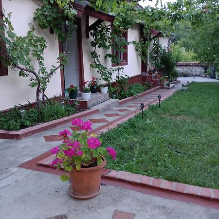 Casa Dragoi Din Socolari, Caras - Severin Екстериор снимка