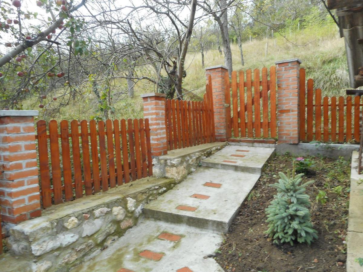 Casa Dragoi Din Socolari, Caras - Severin Екстериор снимка