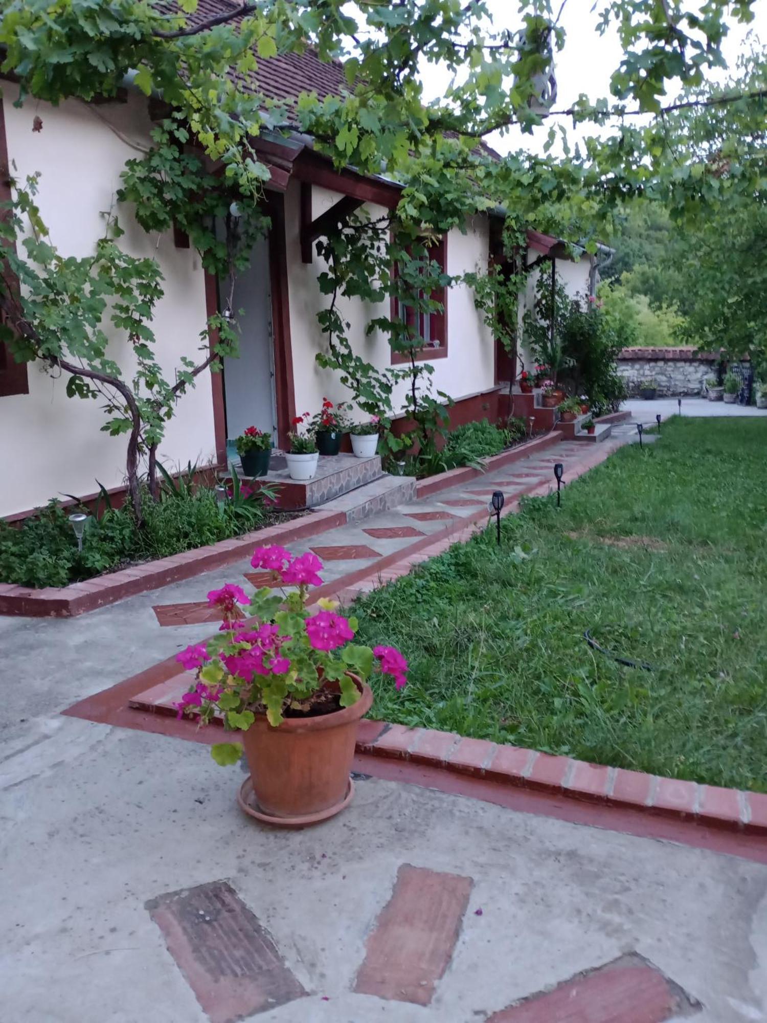 Casa Dragoi Din Socolari, Caras - Severin Екстериор снимка